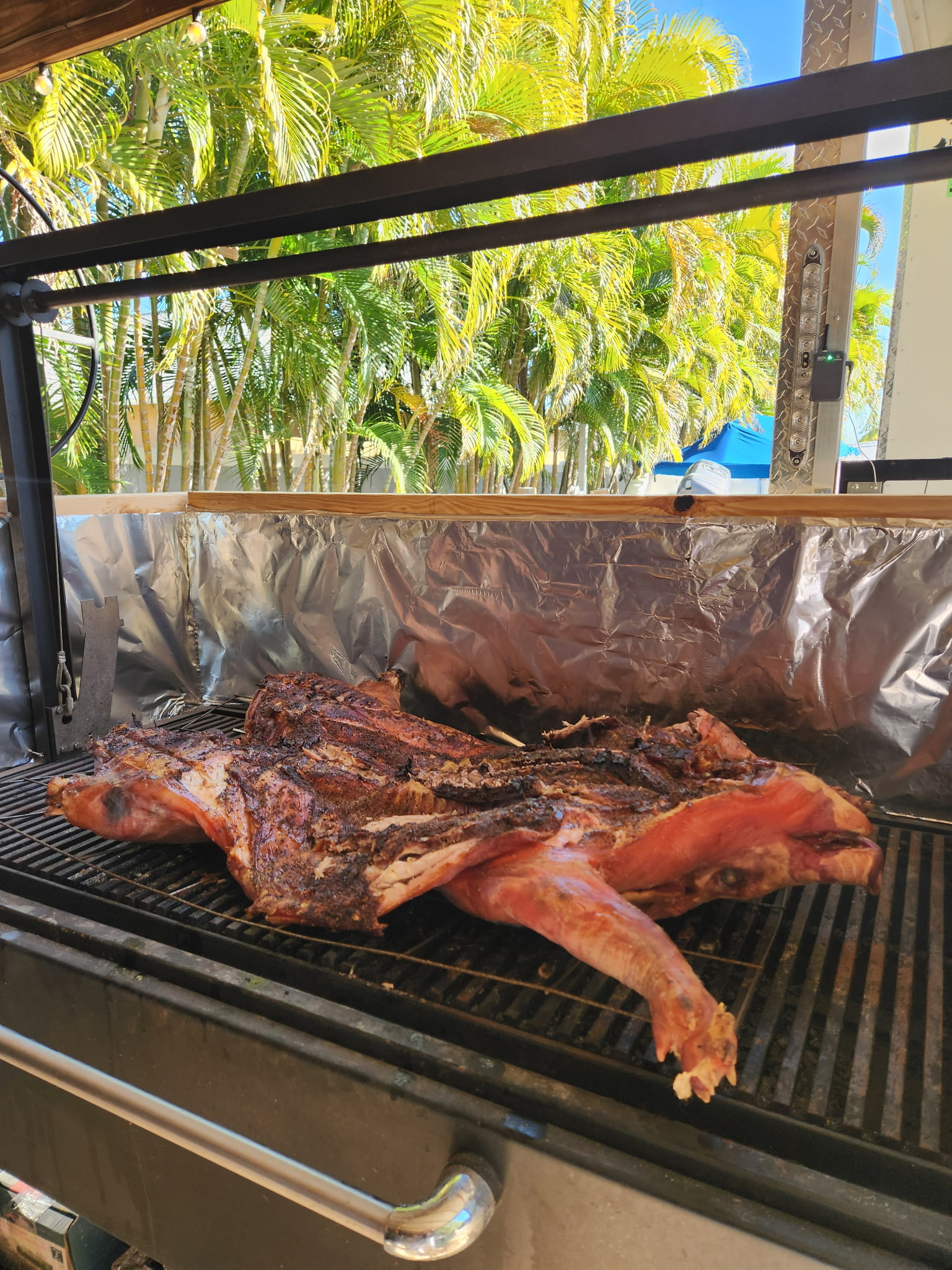 Whole hog smoking on the grill
